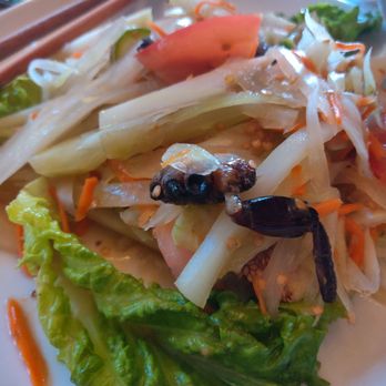 Soi 30th - Somtom E-San. Spicy apaya salad with crab. - Thai Near Me - San Diego, California Soi 30th - Somtom E-San. Spicy apaya salad with crab. - Thai Near Me - San Diego, California