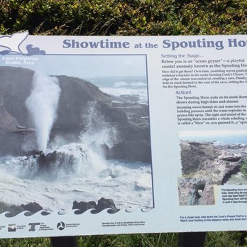 Cape Perpetua Scenic Area - Hiking Near Me - Yachats, Oregon Cape Perpetua Scenic Area - Hiking Near Me - Yachats, Oregon