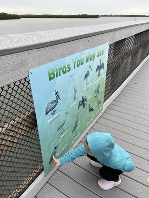 Manatee Viewing Center by null