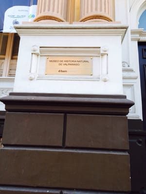 Museo de Historia Natural de Valparaíso by null