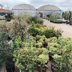 A beautiful outside space ready for more plants as the season progresses