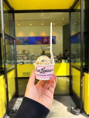 Van Leeuwen Ice Cream by null
