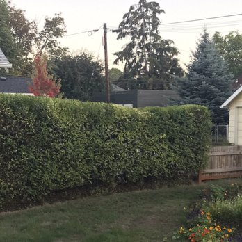 Ec Lawn Care - Lawn Services Near Me Ec Lawn Care - Lawn Services Near Me