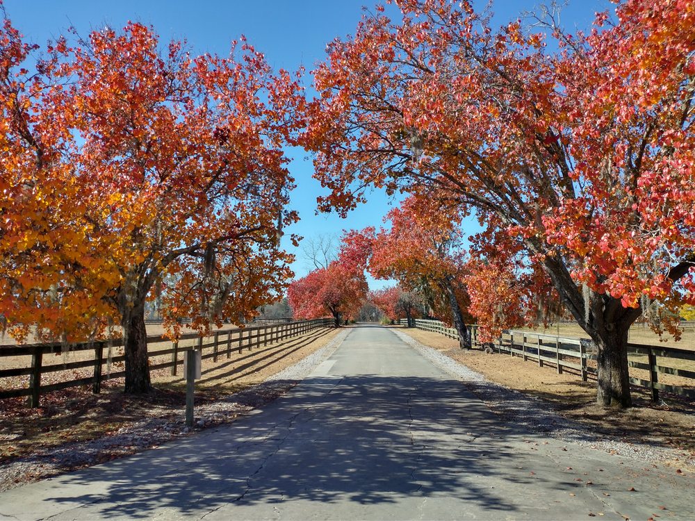 WAYPOINT RECOVERY CENTER Updated September 2024 5401 Netherby Ln