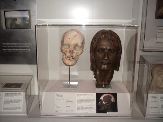 Brighton Museum & Art Gallery by null