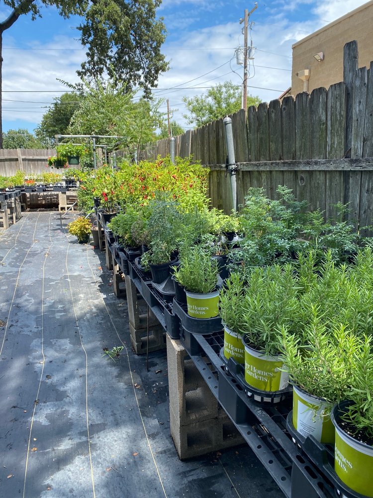 MANSFIELD GARDENS Updated May 2024 815 N Main St, Mansfield, Texas