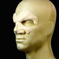 American Fine Arts Supplies - Rubber Wear "Snarl" Foam Latex Prosthetic