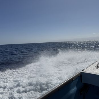 Catalina Express - En route - Transportation Near Me - Dana Point, California