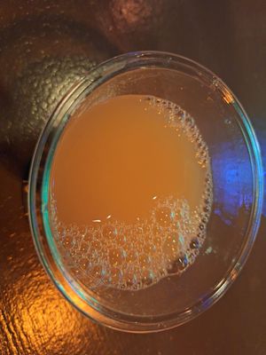 White Horse Inn by null