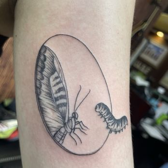 Tiki Tattoo - Tattoo fresh in the shop! - Tattoo Near Me - Myrtle Beach, South Carolina Tiki Tattoo - Tattoo fresh in the shop! - Tattoo Near Me - Myrtle Beach, South Carolina