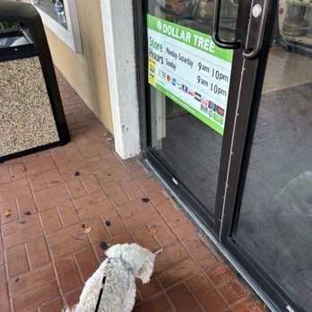 Dollar Tree - Discount Store Near Me - Orlando, Florida Dollar Tree - Discount Store Near Me - Orlando, Florida