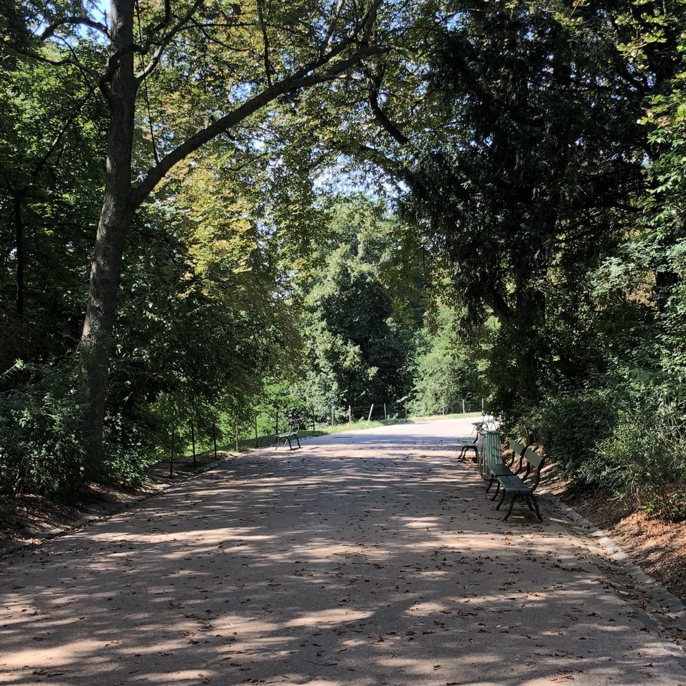 Le Parc des Buttes Chaumont