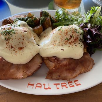 Hau Tree - Eggs Benedict with bacon and potatoes - Seafood Near Me - Honolulu, Hawaii Hau Tree - Eggs Benedict with bacon and potatoes - Seafood Near Me - Honolulu, Hawaii