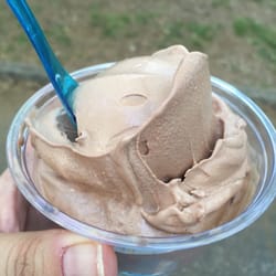 Grant Park Food-o-Rama - Chocolate custard from Vintage custard
