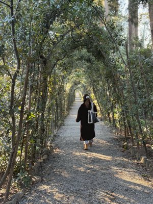 Palazzo Pitti by null