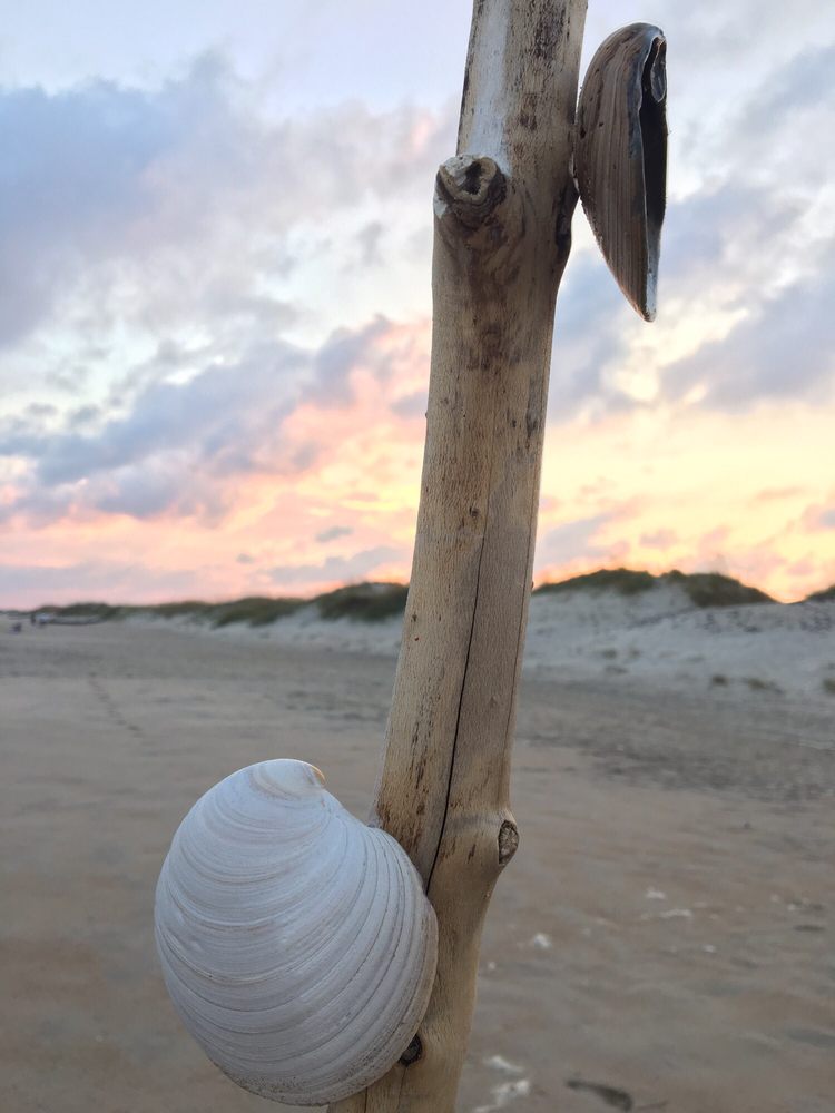 Ocracoke Beach Logo