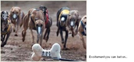 PHOENIX GREYHOUND PARK - Updated August 2025 - 10 Reviews - 3801 E ...