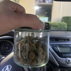 Cannabis 21 - Aberdeen