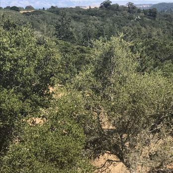 Huddart County Park - Parks Near Me - Woodside, California