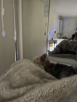 Beauty Bar West Hollywood by null