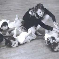 Penny Lane Dance Academy - Delightful Toddler Classes Starting at ages 16 months