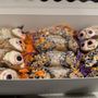 Photo of Marcos Cannolis