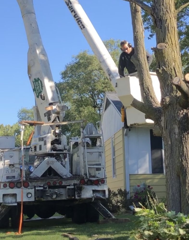 Heinlein Enterprises - tree service in Peoria, IL