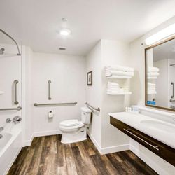 Hampton Inn & Suites Fort Worth Downtown - Guest room bath