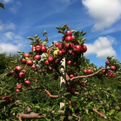 Green Acre Farms