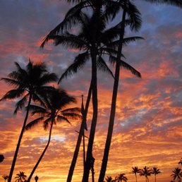 Welcome to Hawaii!!! Welcome to Hawaii!!!