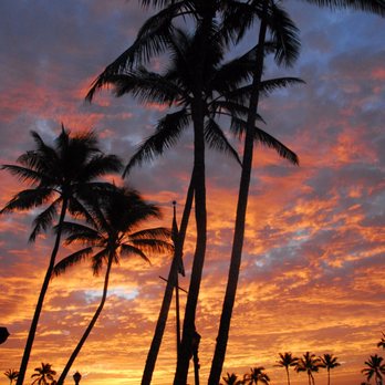 LeiGreeting - Welcome to Hawaii!!! - Florists Near Me - Honolulu, Hawaii LeiGreeting - Welcome to Hawaii!!! - Florists Near Me - Honolulu, Hawaii