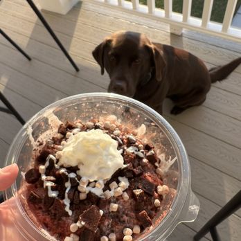 Alien Cow Flavored Sno - Shaved Ice Near Me - Moncks Corner, South Carolina