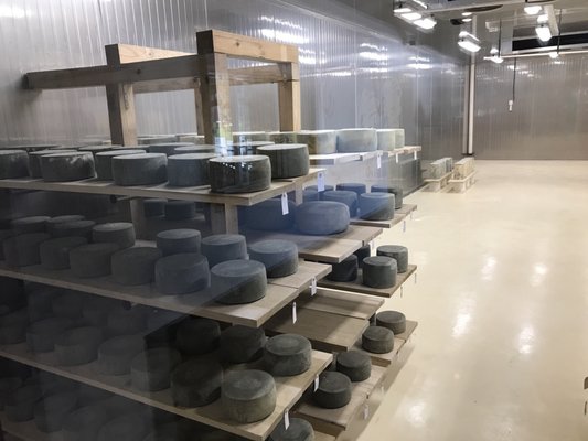 Urban Stead Cheese by null