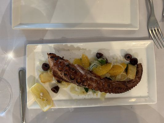 La Zingara Restaurant by null