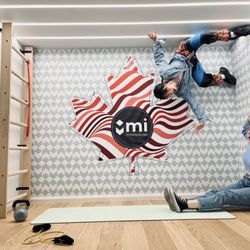 MiMuseum - Museum of Magic and Illusions