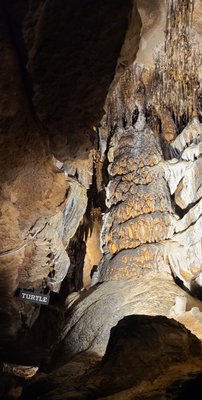 Ruby Falls by null