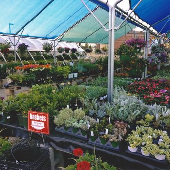 Plum Creek Garden Market Nurseries Gardening 2150 S Monaco Plum Creek Garden Market Nurseries