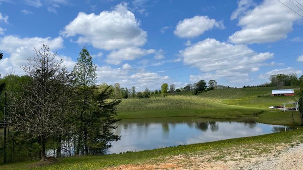 Three Sisters Vineyards & Winery by null