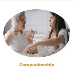 Verlis Care Provider