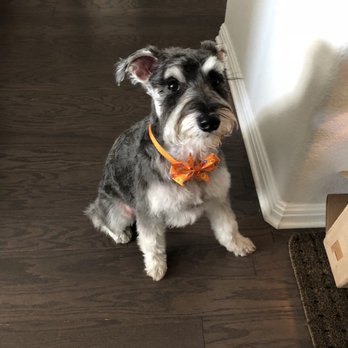 Bark Avenue - Pet Groomers Near Me - Cedar Park, Texas