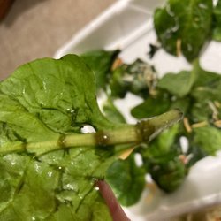 Pizza For U - Slimy spinach on pizza for U shorewood family size salad