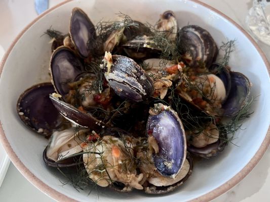 Sedalia’s Oyster & Seafood by null