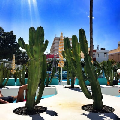 Gold By Marina Hotel by null