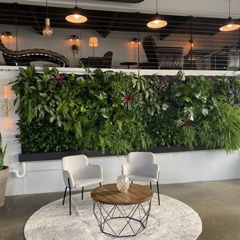 Parlor Public House - Urban jungle + co-work vibes - Coffee & Tea Near Me - Indianapolis, Indiana Parlor Public House - Urban jungle + co-work vibes - Coffee & Tea Near Me - Indianapolis, Indiana