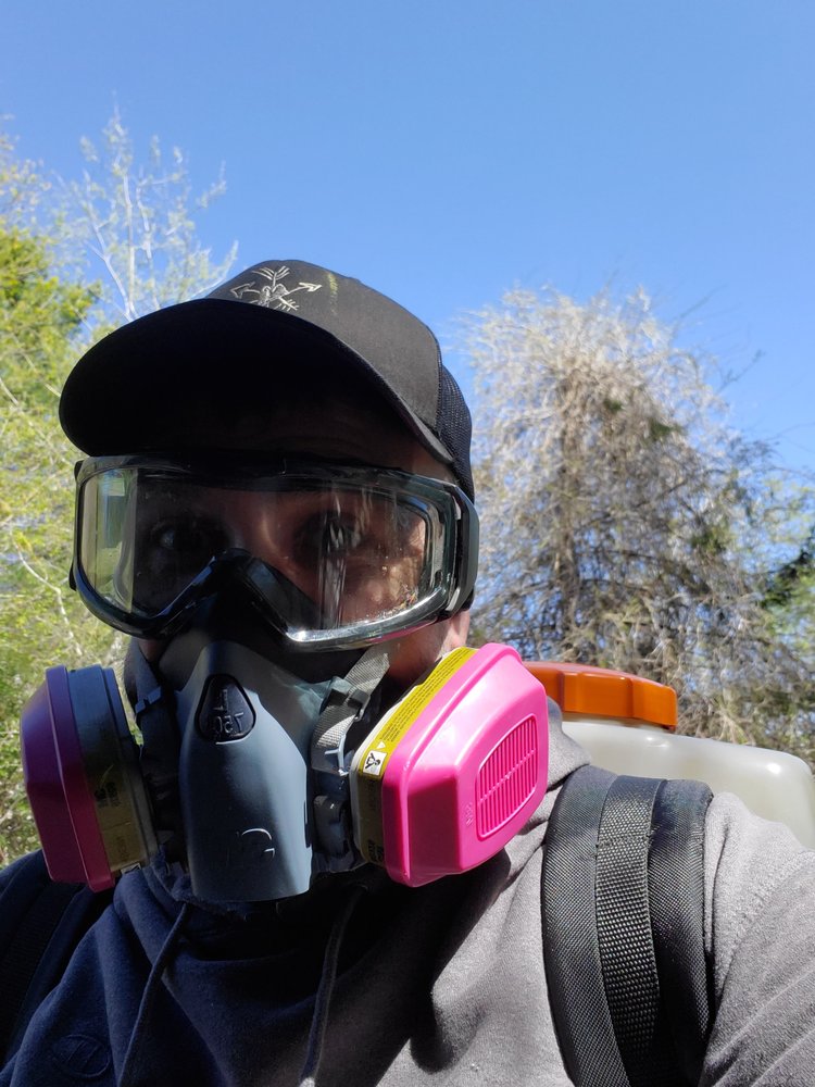 HOME SHIELD PEST SOLUTIONS Updated June 2024 17 Photos Braintree