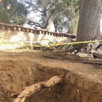Kevin Neiman's Horticultural Services - Large root during foundation excavation. - Landscaping Near Me