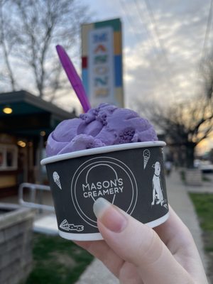 Mason's Creamery by null