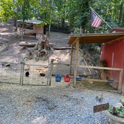 Hagerstown / Antietam Battlefield KOA - Chickens, goats and ducks!