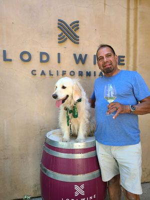 Lodi Wine Visitor Center by null