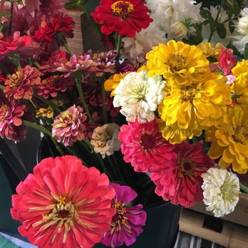 Twelve - Zinnia's grown locally. - Jewelry Near Me - Atlanta, Georgia Twelve - Zinnia's grown locally. - Jewelry Near Me - Atlanta, Georgia